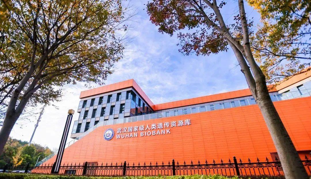 奔驰宝马游戏大厅